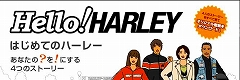 ハローハーレー