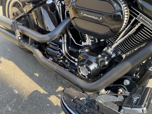 harley flstfbs