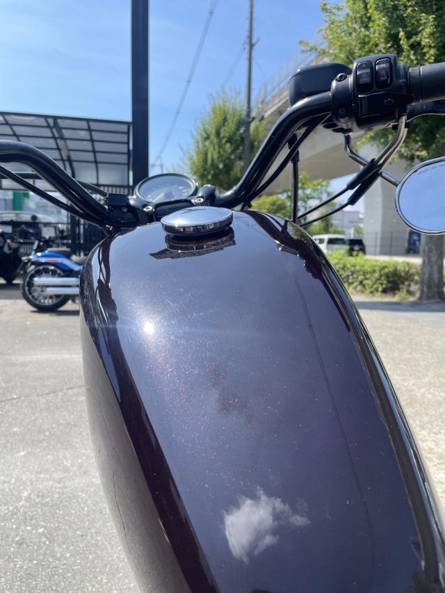 XL1200X